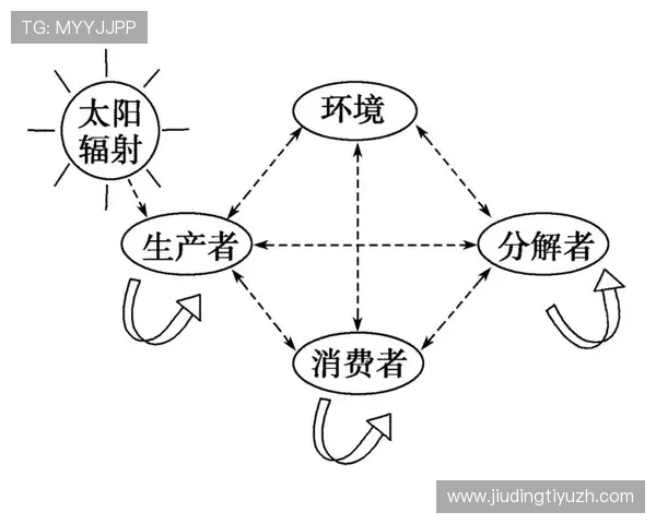 欧博中国官网平台技术支持与系统稳定性分析